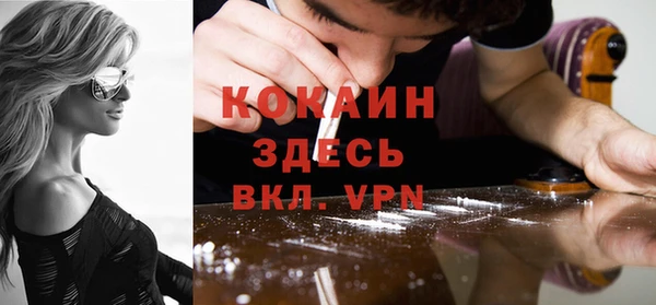 индика Козельск