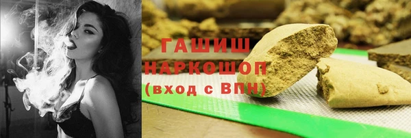 индика Козельск