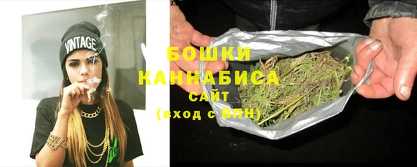 индика Козельск