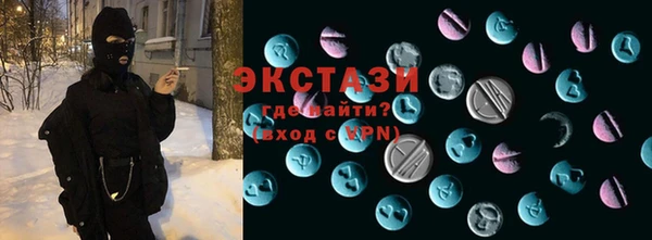 индика Козельск