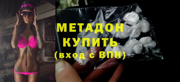 индика Козельск