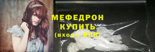 индика Козельск