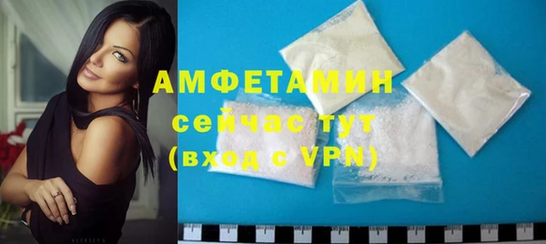 индика Козельск