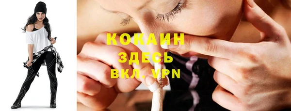 индика Козельск