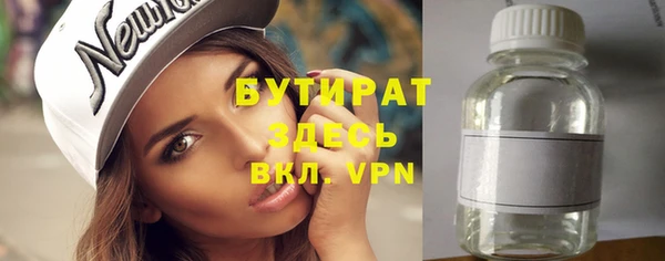 индика Козельск