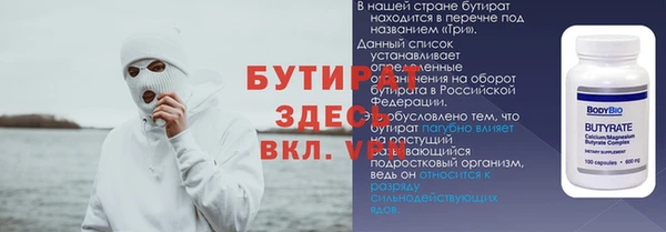 индика Козельск