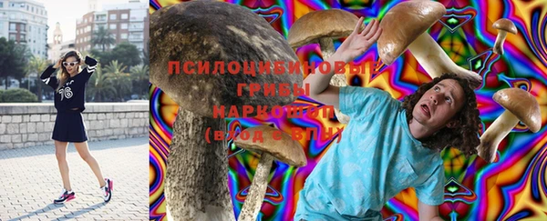 индика Козельск
