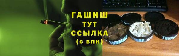 индика Козельск