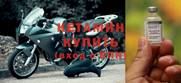 индика Козельск