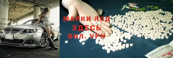 индика Козельск