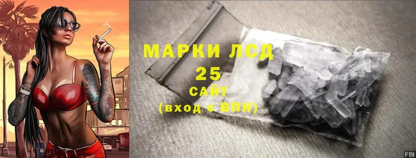 индика Козельск