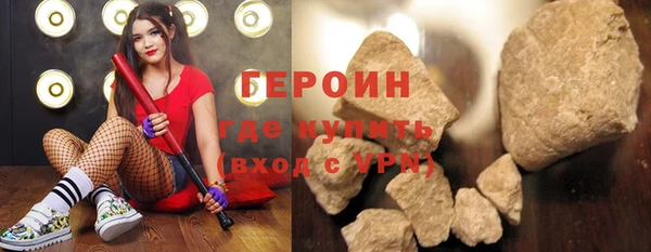 индика Козельск
