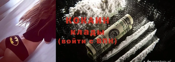 индика Козельск