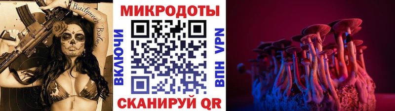 маркетплейс какой сайт  Бердск  Галлюциногенные грибы Magic Shrooms  как найти закладки 